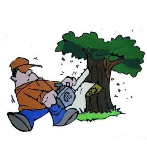 AAA Professional Tree Service