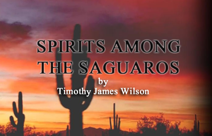 Unveiling Arizona's Mystique: Tim Wilson, the Author Behind the Paranormal Road Trip Series