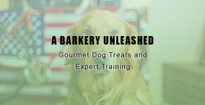 A bakery unleashed - Gourmet Dog Treats & Expert Training