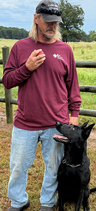 Quality Dog Training & Sales