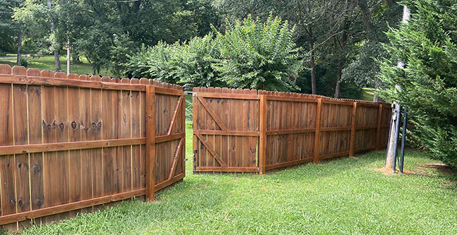 Protection Fencing - Building Strong Fences and Strong Futures