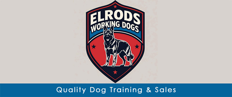 Quality Dog Training & Sales