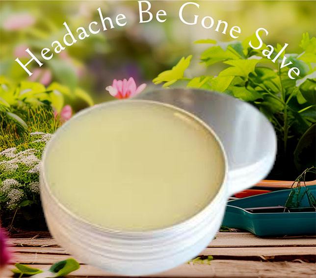 handcrafted, plant-based skincare and wellness products