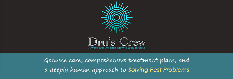 a foundation of genuine care, and a human approach to solving pest problems