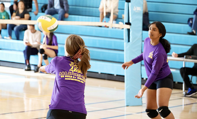 year-round youth sports programs, after-school activities, and summer camps for boys and girls