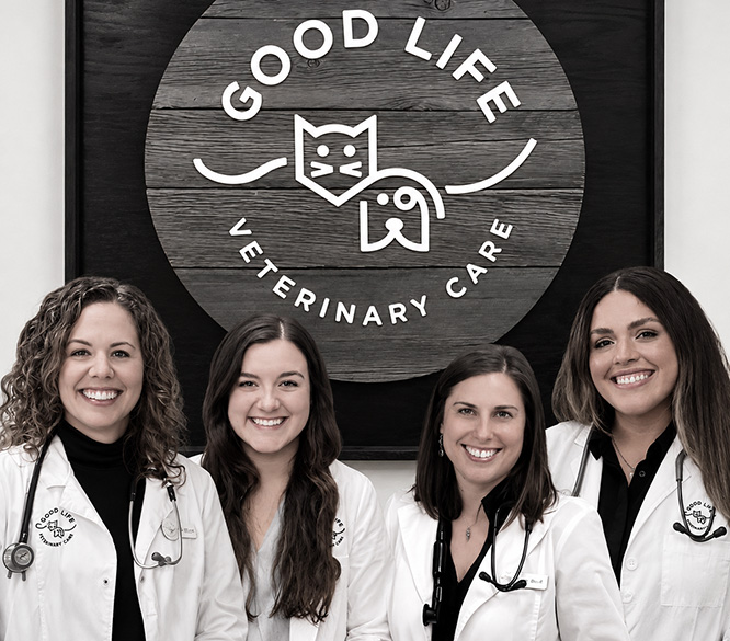 a thoughtful, individualized approach to your pet’s care