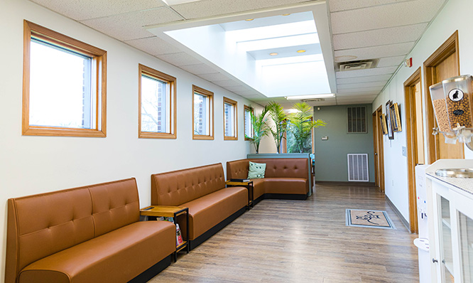 a thoughtful, individualized approach to your pet’s care