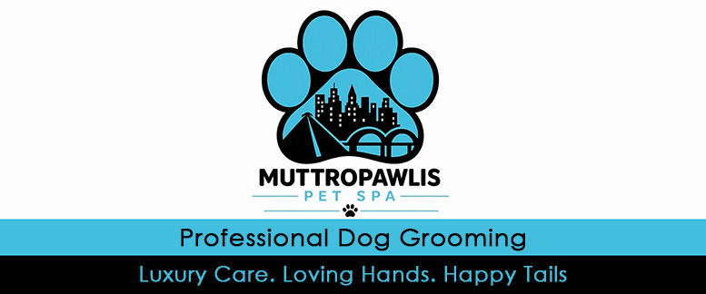 Pet Care - Pet SPA - Luxury Care. Loving Hands. Happy Tails