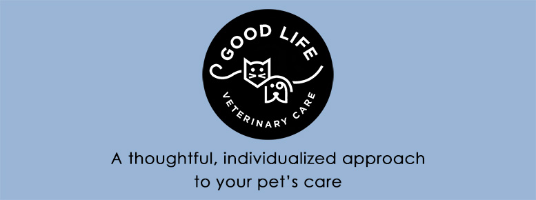 a thoughtful, individualized approach to your pet’s care